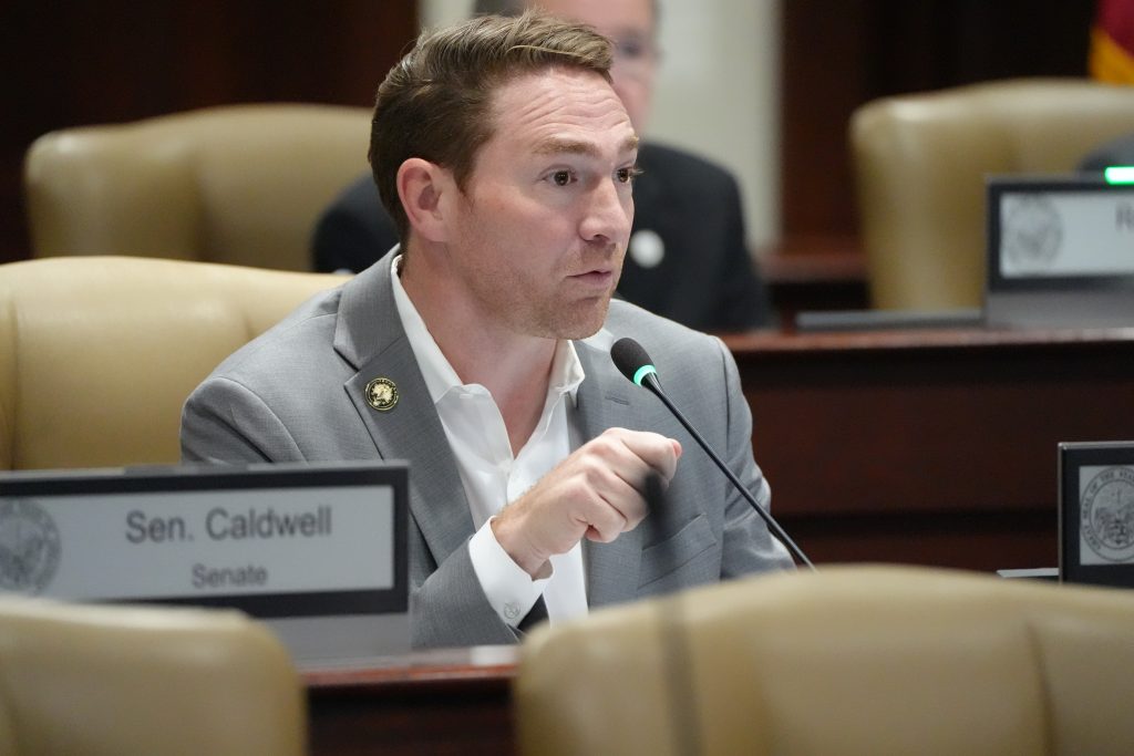 Senator Dees speaks during a committee meeting