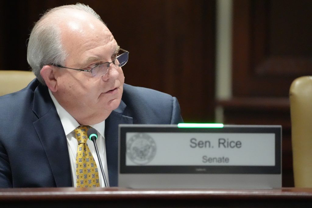 Senator Rice speaks during a committee meeting