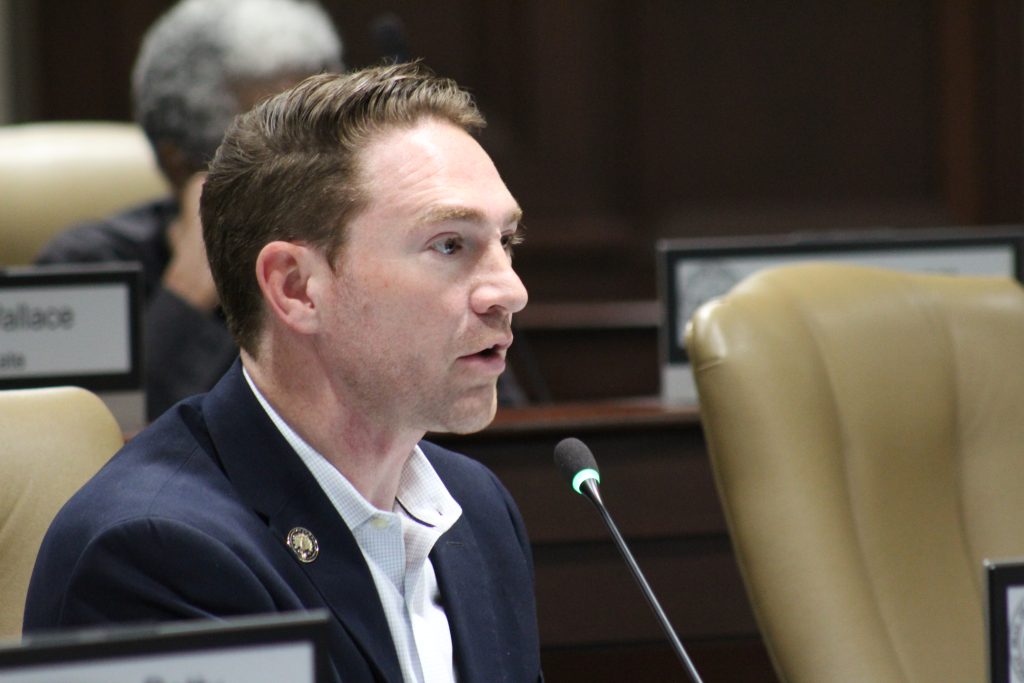 Senator Dees speaks during a committee meeting