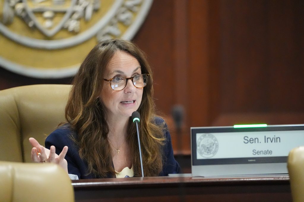Senator Irvin speaks into a microphone in a committee room