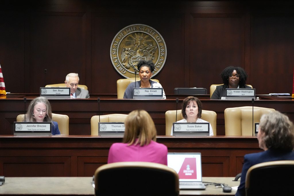 View of the podium and task force members in a committee room. The people testifying are seen from behind in the foreground.