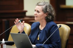 a woman speaks during a task force meeting