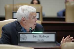 Senator Sullivan speaks during a committee meeting