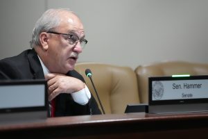 Senator Hammer speaks during a committee meeting