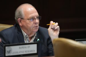 Senator Terry Rice makes a point during a committee meeting